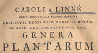 detail, Genera Plantarum by Caroli a Linne, 1789